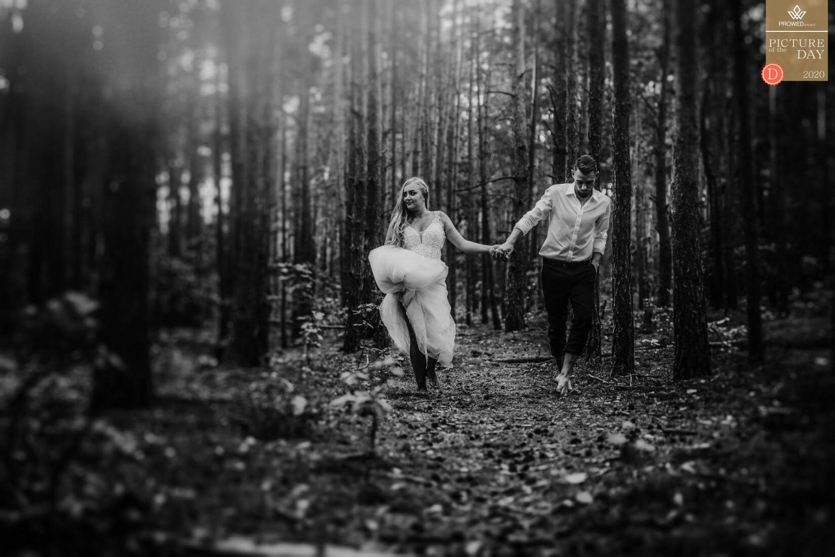 najlepszy fotograf ślubny