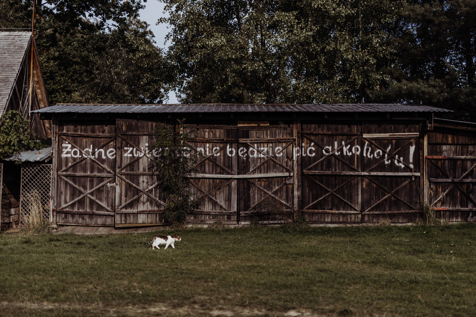 sesja ślubna zagroda ojrzanów