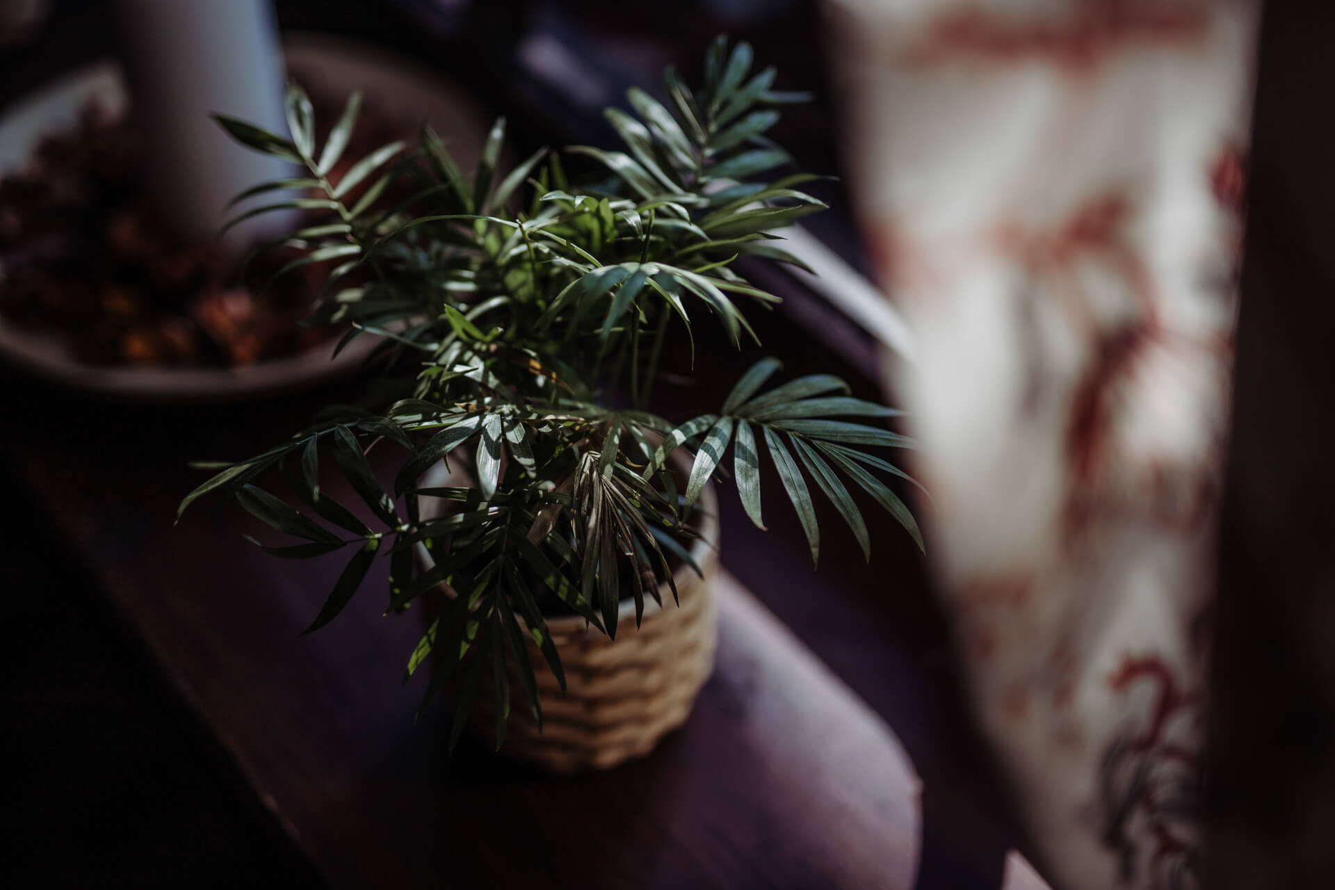 fotograf ślubny warszawa