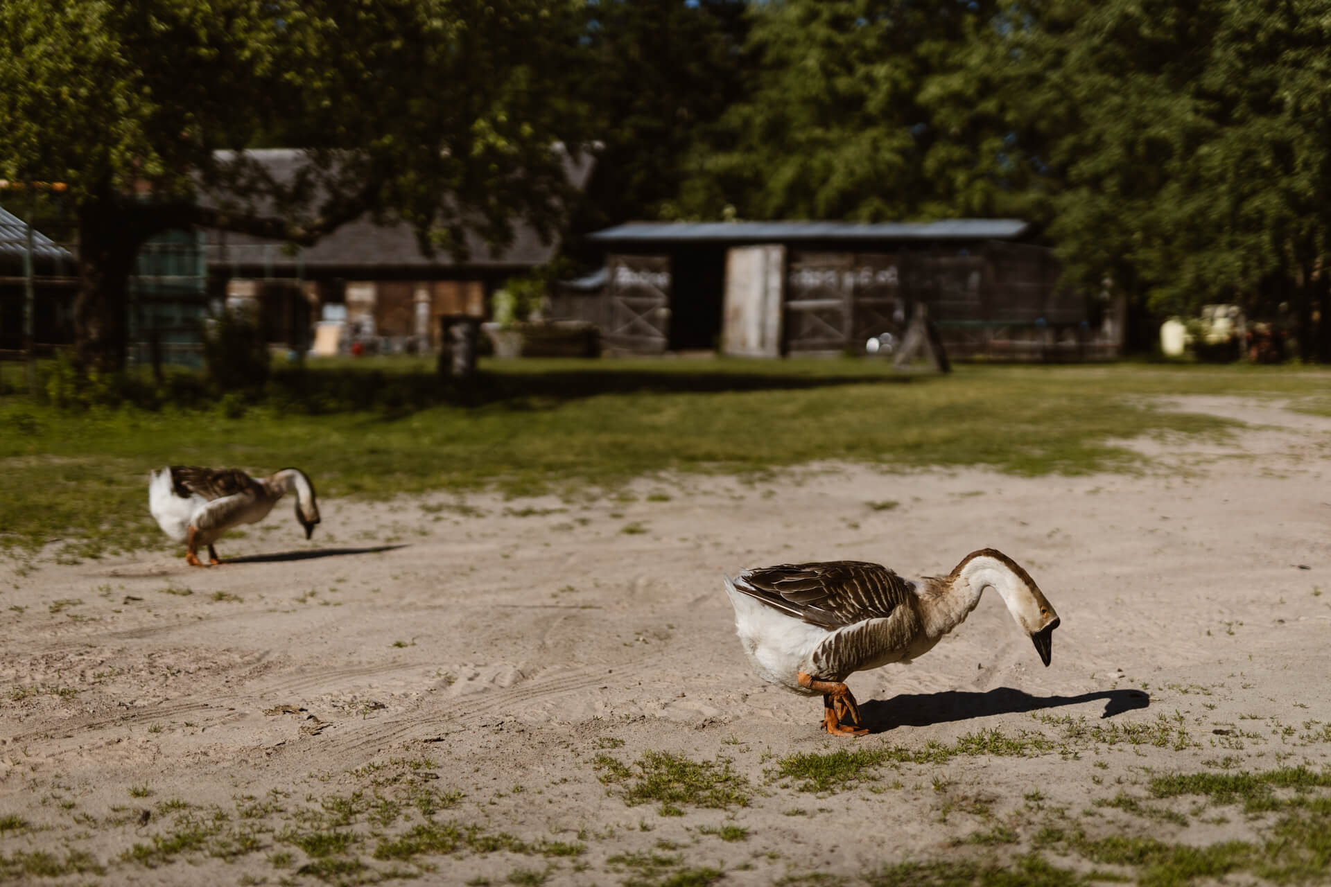 fotograf ślubny warszawa