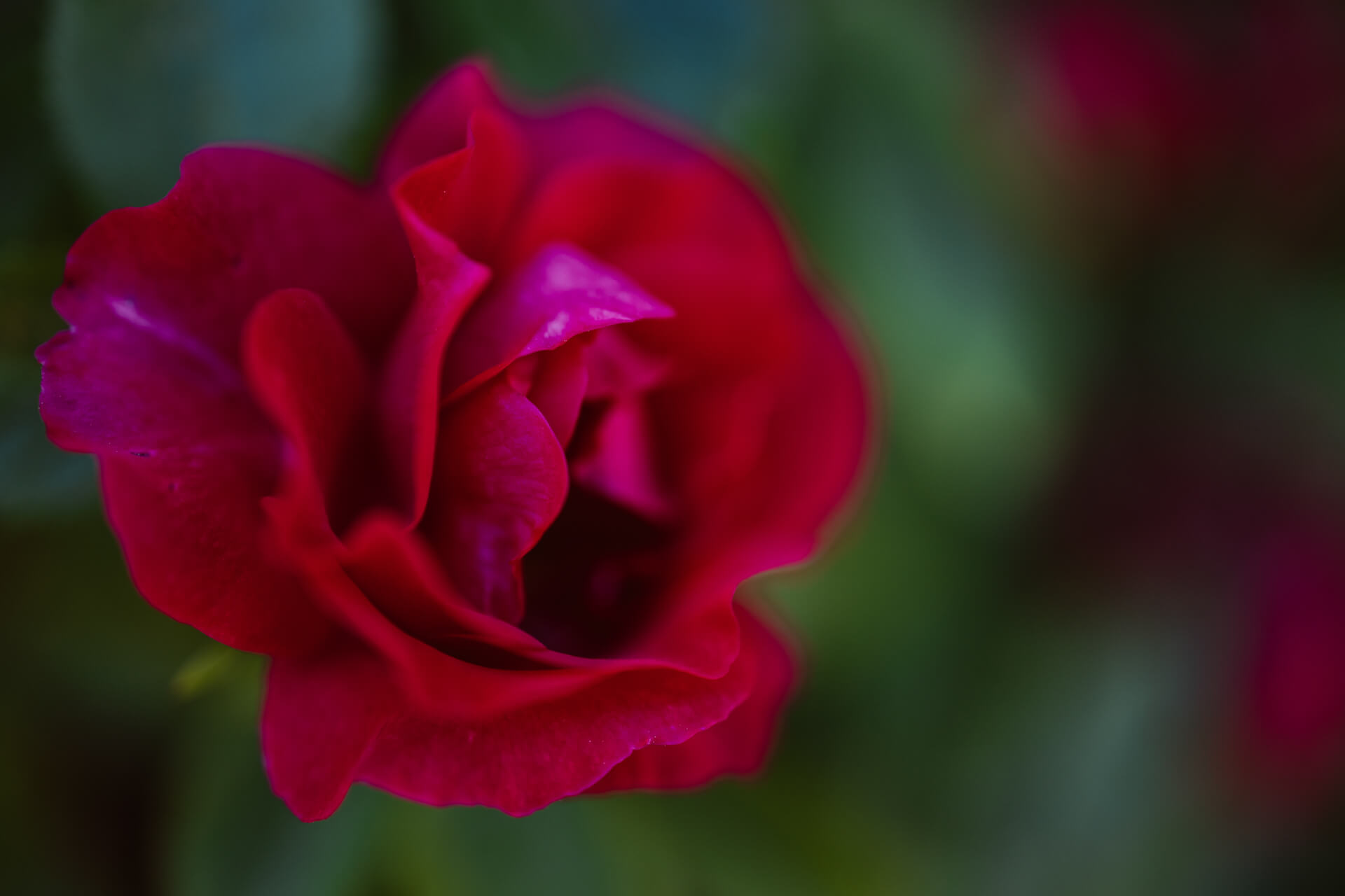 fotograf ślubny warszawa