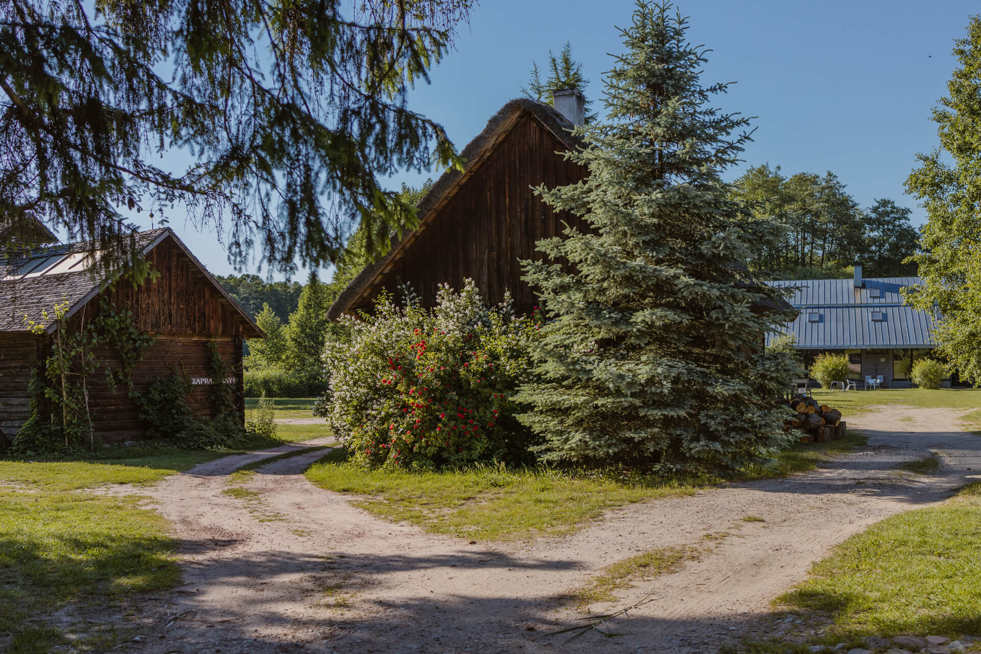 fotograf ślubny warszawa