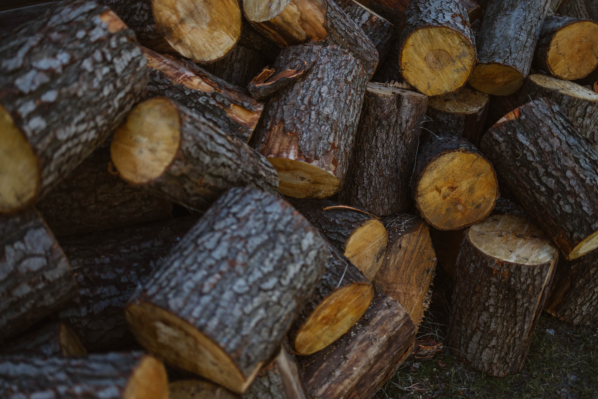 fotograf ślubny warszawa